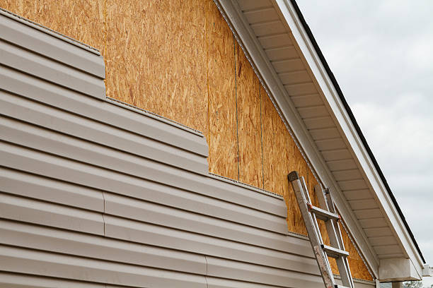 Professional Siding Replacement technician working in Onemo, VA